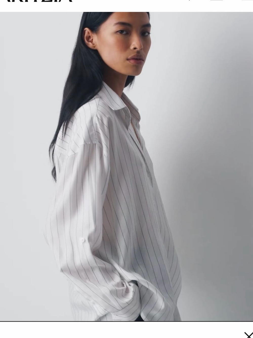 NWT Aritzia Babaton Archive Shirt, L